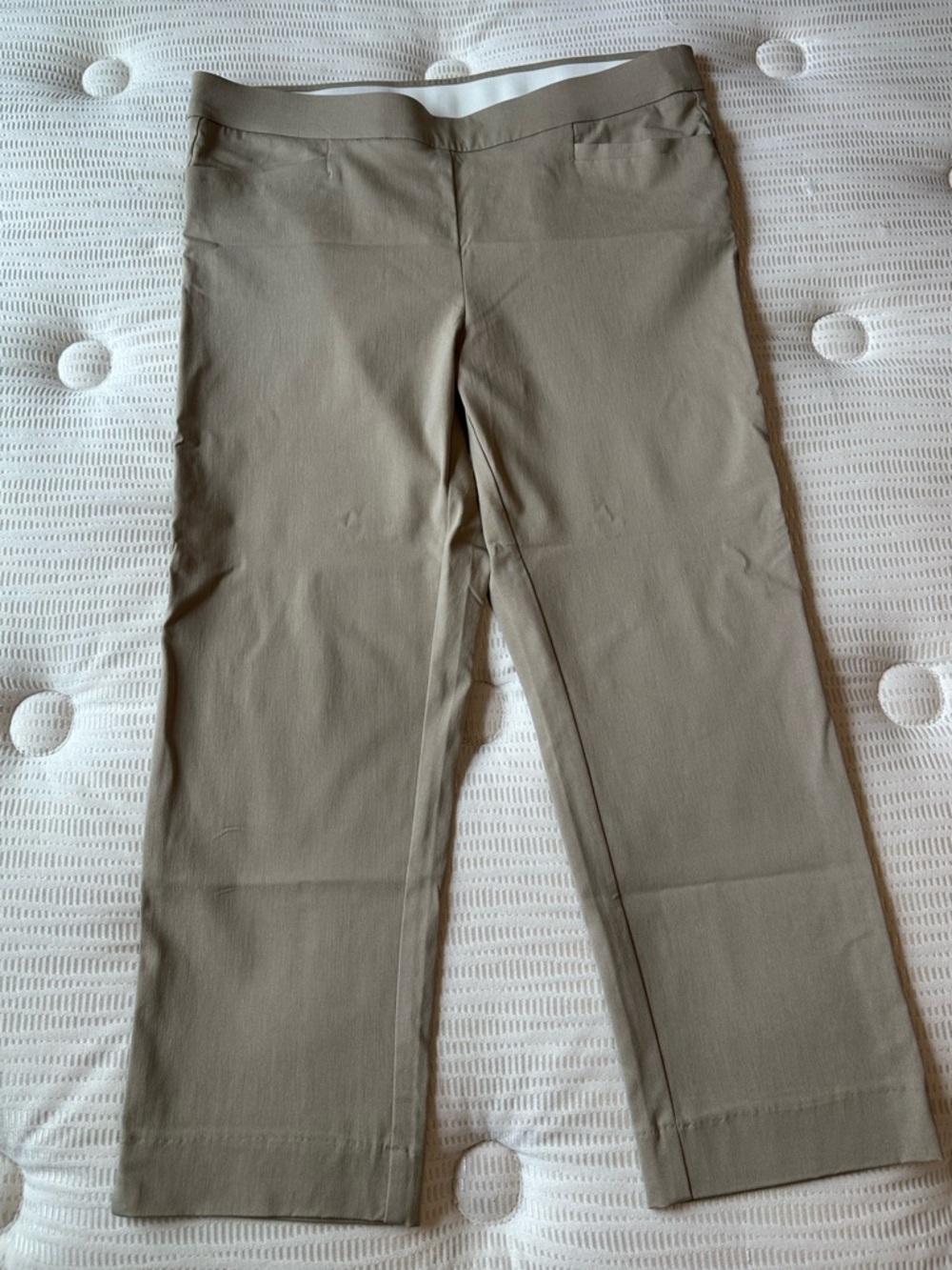 Avenue Pull-On Womens Beige Pants Size 18 Cropped Skinny Ankle Workwear Dressy